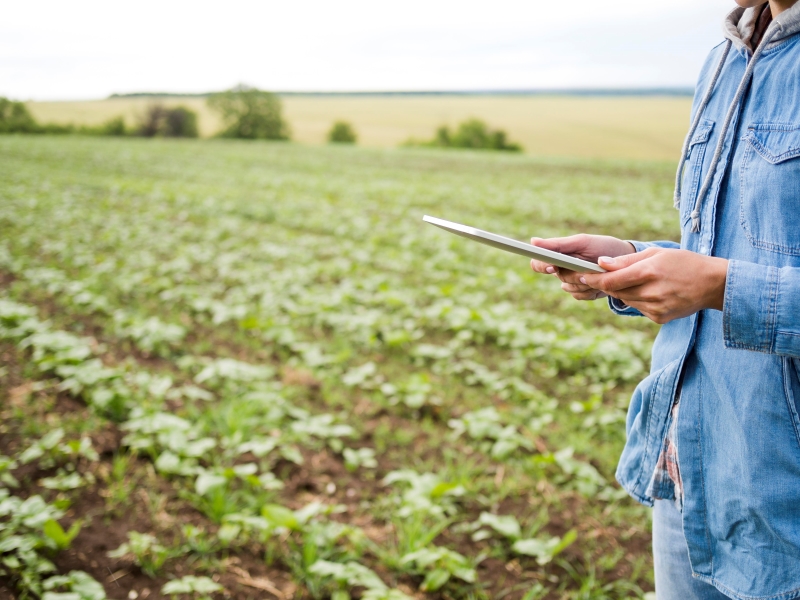 mulher segurando um tablet em um campo